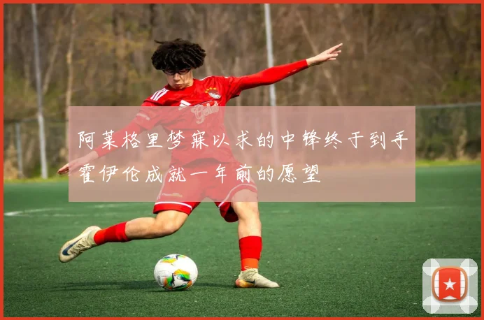 阿莱格里梦寐以求的中锋终于到手霍伊伦成就一年前的愿望